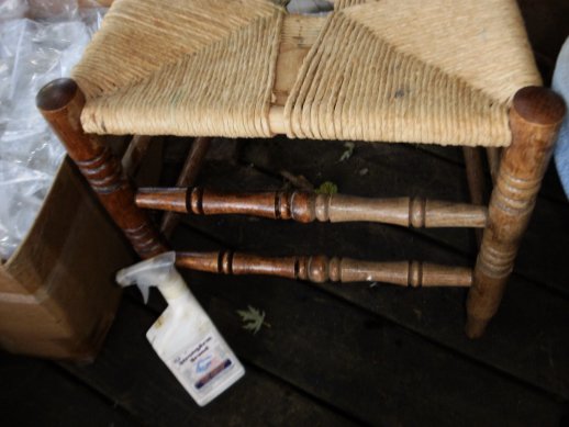 Antique Cane Chair Treated with USA Fluid Preservative